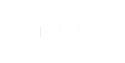 FLÁVIA ARANHA